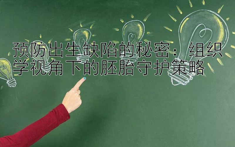 预防出生缺陷的秘密：组织学视角下的胚胎守护策略