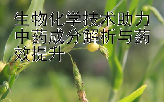 生物化学技术助力中药成分解析与药效提升