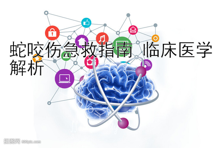 蛇咬伤急救指南 临床医学解析