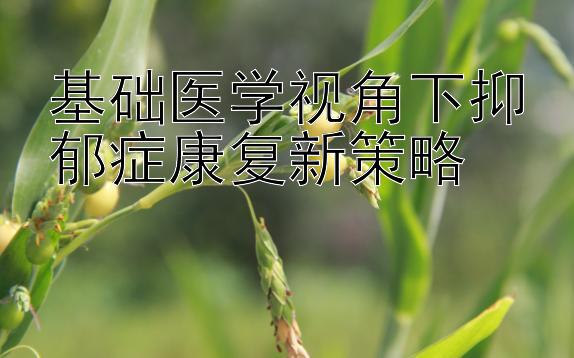 基础医学视角下抑郁症康复新策略