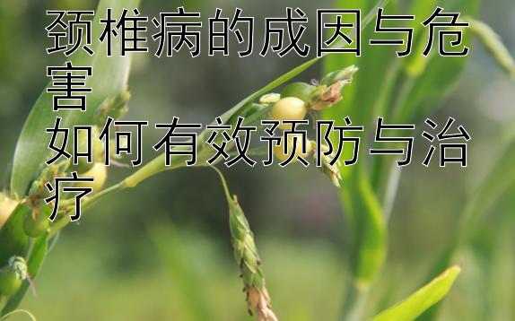 颈椎病的成因与危害  
如何有效预防与治疗